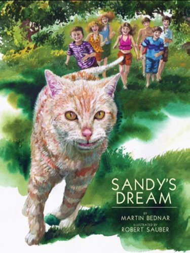 9781620868607: Sandy's Dream