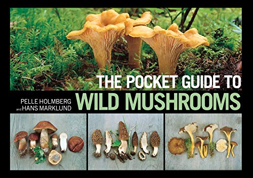 Stock image for The Pocket Guide to Wild Mushrooms: Helpful Tips for Mushrooming in the Field for sale by Coas Books