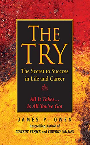 Stock image for The Try: The Secret to Success in Life and Career for sale by HPB-Ruby