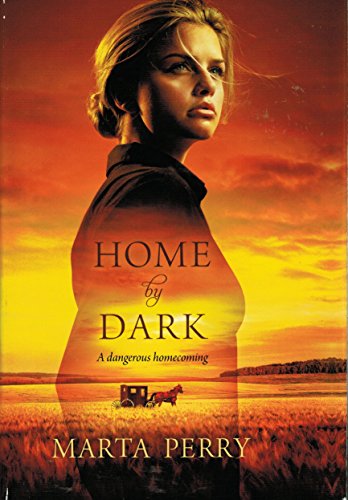 Beispielbild fr Home by Dark - A Dangerous Homecoming zum Verkauf von Wonder Book
