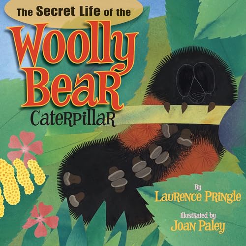 Stock image for The Secret Life of the Woolly Bear Caterpillar for sale by Dream Books Co.