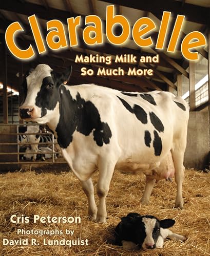 Beispielbild fr Clarabelle: Making Milk and So Much More zum Verkauf von London Bridge Books