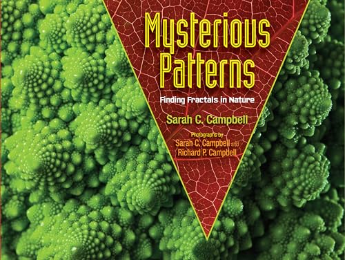 Stock image for Mysterious Patterns: Finding Fractals in Nature for sale by SecondSale