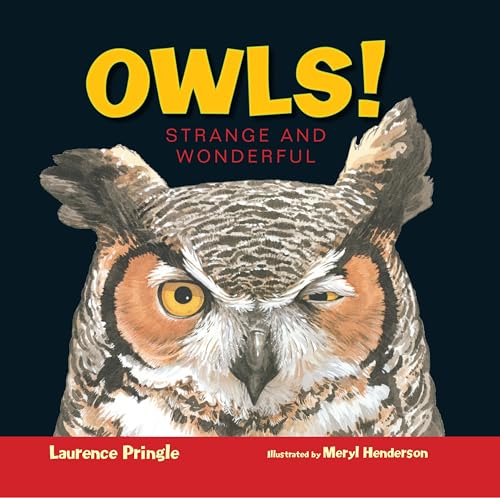 Stock image for Owls!: Strange and Wonderful for sale by Gulf Coast Books