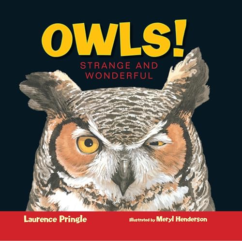 9781620916513: Owls!: Strange and Wonderful