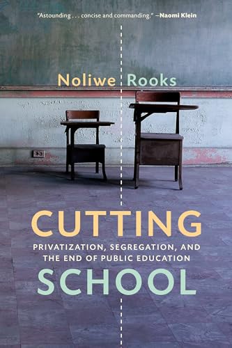 Stock image for Cutting School: The Segrenomics of American Education for sale by BooksRun