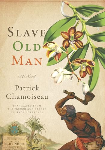 Beispielbild fr Slave Old Man : A Novel zum Verkauf von Better World Books