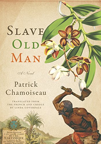 Stock image for Slave Old Man : A Novel for sale by Better World Books