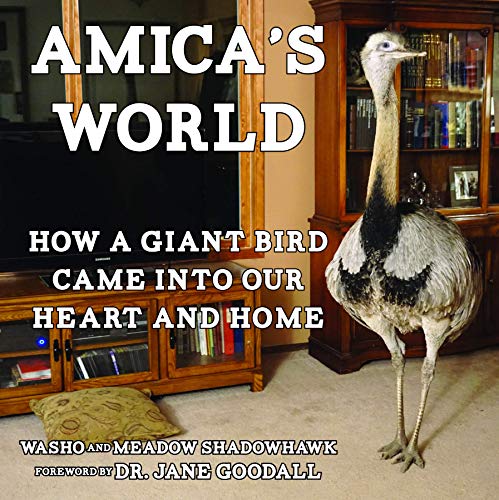 Beispielbild fr Amica's World : How a Wild Bird Taught Our Family to Be Better People zum Verkauf von Better World Books