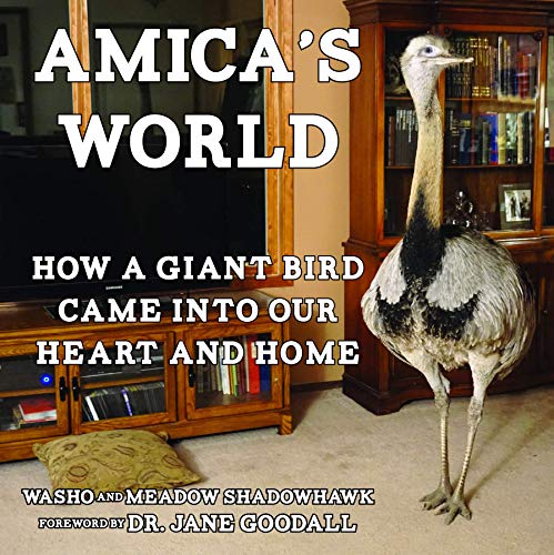 9781621062820: Amica's World: How a Giant Bird Came into Our Heart and Home (Good Life)