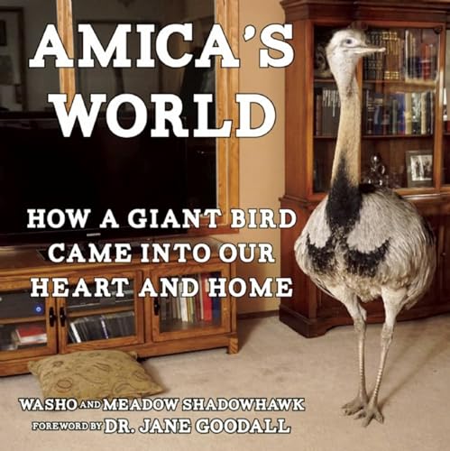 Stock image for Amica's World : How a Wild Bird Taught Our Family to Be Better People for sale by Better World Books