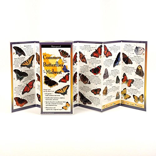 Earth Sky + Water FoldingGuideâ„¢ - Common Butterflies of the Midwest - 10 Panel Foldable Laminated Nature Identification Guide (9781621260196) by Rick Cech