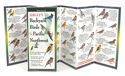 9781621261193: Sibley's Backyard Birds of Pacific Northwest