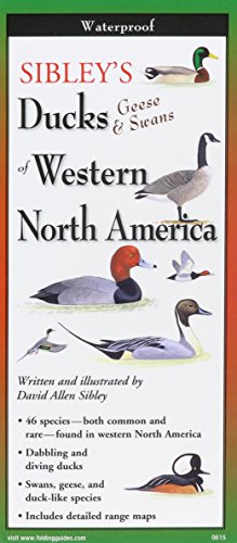 9781621261261: Sibley's Ducks, Geese,& Swans of Western North America (Foldingguides)