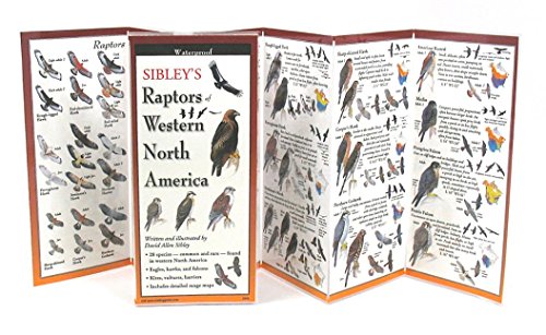 Beispielbild fr Earth Sky + Water FoldingGuide  - Sibley  s Raptors of Western North America - 10 Panel Foldable Laminated Nature Identification Guide zum Verkauf von Half Price Books Inc.