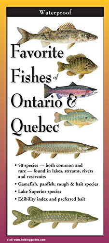 Imagen de archivo de Favourite Fishes of Ontario & Quebec - F a la venta por ThriftBooks-Dallas