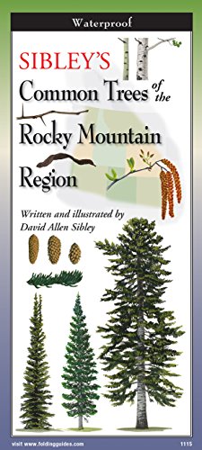 Imagen de archivo de Sibley's Trees of Rocky Mtn. Region a la venta por HPB-Emerald