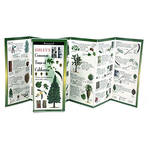 Imagen de archivo de SIBLEYS COMMON TREES OF CALIFORNIA FOLDING GUIDE a la venta por Save With Sam