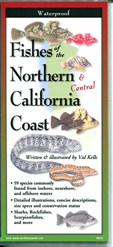 Beispielbild fr Fishes of The Northern California Coast zum Verkauf von Lakeside Books