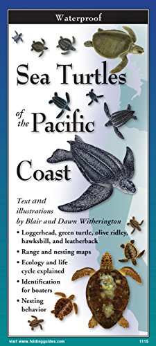 Beispielbild fr Sea Turtles of The Pacific zum Verkauf von Lakeside Books