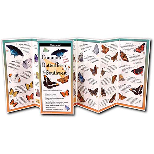 Stock image for Common Butterflies of the Southwest (Foldingguides) for sale by Red's Corner LLC