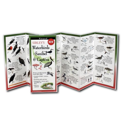 Stock image for Earth Sky + Water FoldingGuide  - Sibley  s Seabirds of the Pacific Coast - 10 Panel Foldable Laminated Nature Identification Guide for sale by Half Price Books Inc.