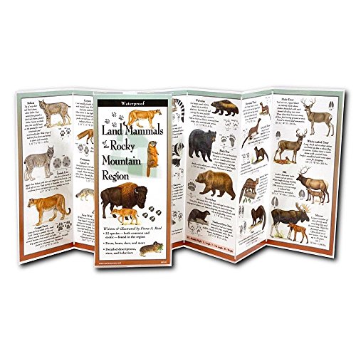 Beispielbild fr Land Mammals of the Rocky Mountain Region (FoldingGuides) zum Verkauf von HPB-Emerald