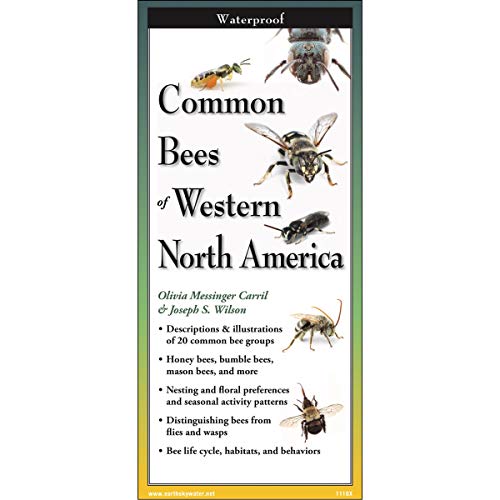 Beispielbild fr Common Bees of Western North America (FoldingGuides) zum Verkauf von Save With Sam