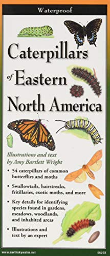 Stock image for Caterpillars of Eastern North America (Foldingguides(tm)) for sale by Lakeside Books