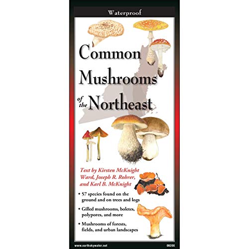 Stock image for Earth Sky + Water FoldingGuide? - Common Mushrooms of the Northeast - 10 Panel Foldable Laminated Nature Identification Guide for sale by Lucky's Textbooks