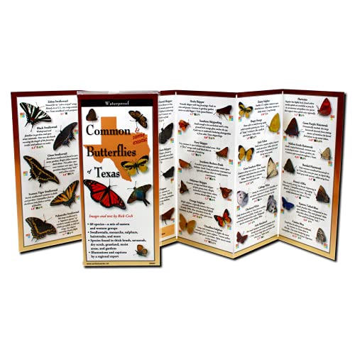 Beispielbild fr Earth Sky + Water FoldingGuide  - Common Butterflies of Texas - 10 Panel Foldable Laminated Nature Identification Guide zum Verkauf von HPB-Diamond