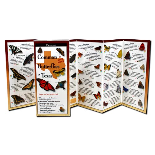 Stock image for Earth Sky + Water FoldingGuide  - Common Butterflies of Texas - 10 Panel Foldable Laminated Nature Identification Guide for sale by HPB-Diamond