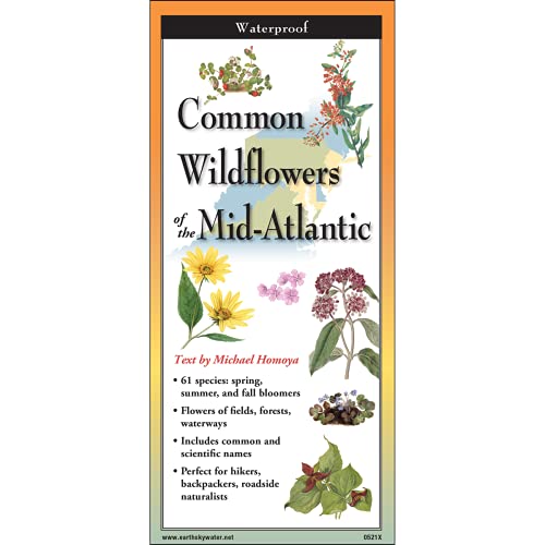 9781621263883: Common Wildflowers of the Mid-Atlantic