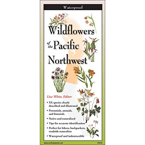 Stock image for Common Wildflowers of the Pacific Northw for sale by Oregon Books & Games