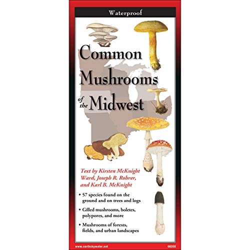 Stock image for Earth Sky + Water FoldingGuide? - Common Mushrooms of the Midwest - 10 Panel Foldable Laminated Nature Identification Guide for sale by GF Books, Inc.
