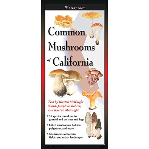 Stock image for Earth Sky + Water FoldingGuide? - Common Mushrooms of California - 10 Panel Foldable Laminated Nature Identification Guide for sale by Lucky's Textbooks