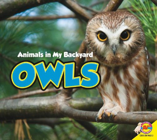 9781621272175: Owls (Animals in My Backyard)
