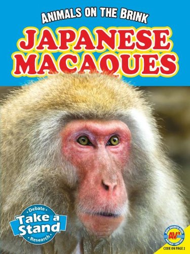 Stock image for Japanese Macaques (Animals on the Brink: Av2 Media Enhanced Books) for sale by Better World Books