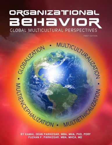 9781621311003: Organizational Behavior: Global Multicultural Perspective