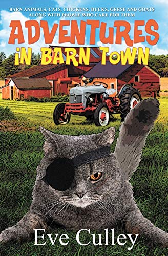 Beispielbild fr Adventures in Barn Town zum Verkauf von Books From California