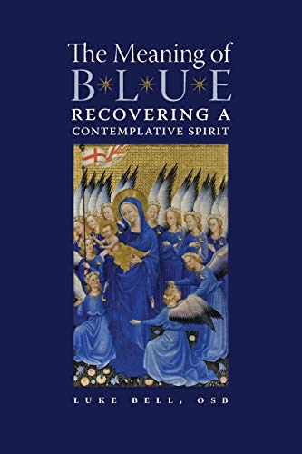 Imagen de archivo de The Meaning of Blue: Recovering a Contemplative Spirit a la venta por AwesomeBooks