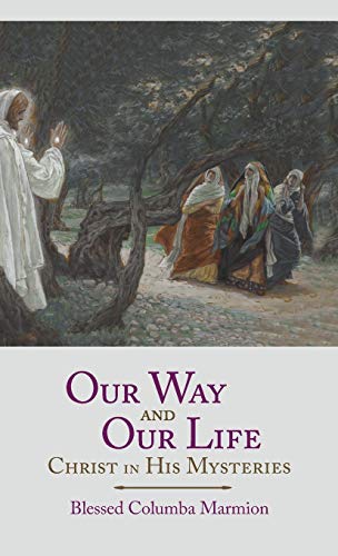 Imagen de archivo de Our Way And Our Life a la venta por GreatBookPrices
