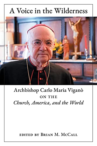 Beispielbild fr A Voice in the Wilderness: Archbishop Carlo Maria Vigan on the Church, America, and the World zum Verkauf von PaceSetter Books