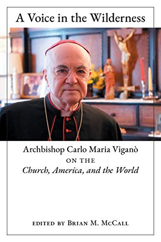 Imagen de archivo de A Voice in the Wilderness: Archbishop Carlo Maria Vigan on the Church, America, and the World a la venta por PaceSetter Books