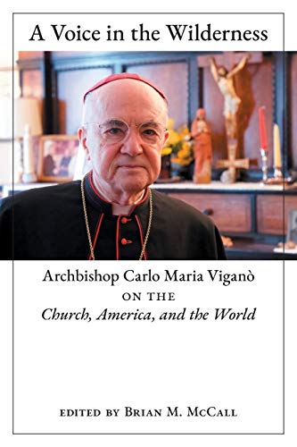 9781621386964: A Voice in the Wilderness: Archbishop Carlo Maria Vigan on the Church, America, and the World