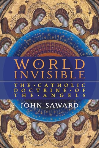 Stock image for World Invisible: The Catholic Doctrine of the Angels for sale by GreatBookPrices