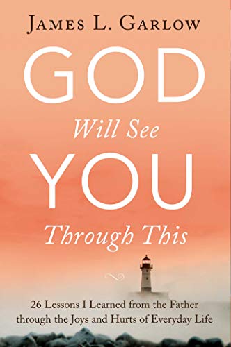 Imagen de archivo de God Will See You Through This : 26 Lessons I Learned from the Father Through the Joys and Hurts of Everyday Life a la venta por Better World Books