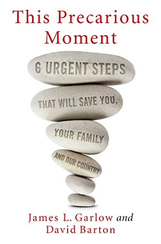 Stock image for This Precarious Moment: Six Urgent Steps that Will Save You, Your Family, and Our Country for sale by Gulf Coast Books