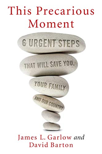 Stock image for This Precarious Moment: Six Urgent Steps that Will Save You, Your Family, and Our Country for sale by SecondSale