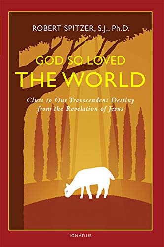 Stock image for God So Loved the World: Clues to Our Transcendent Destiny from the Revelation of Jesus (Happiness, Suffering, and Transcendence) (Volume 3) for sale by Goodwill of Colorado